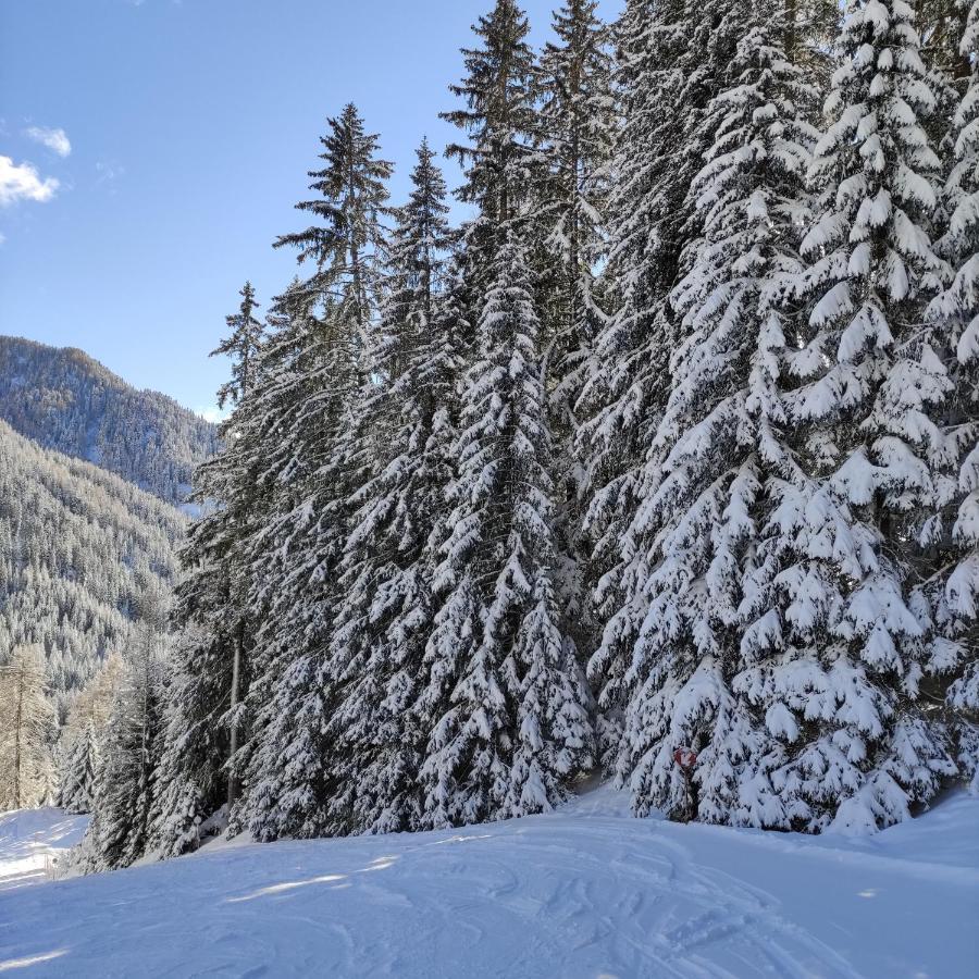 Villa Kofler Wonderland Resort Campitello di Fassa Exterior photo